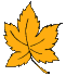 maple-leaf4.gif